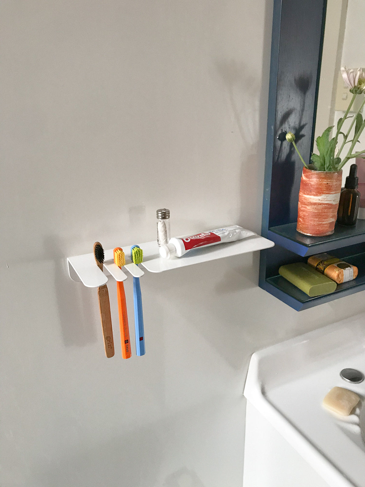 Toothbrush Shelf, Clean Clean Clean